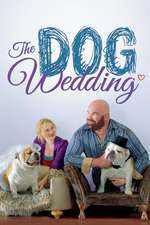 The Dog Wedding Box Art