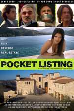 Pocket Listing Box Art