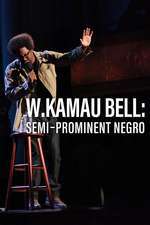 W. Kamau Bell: Semi-Prominent Negro Box Art