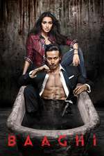 Baaghi Box Art