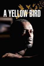 A Yellow Bird Box Art