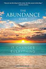 The Abundance Code Box Art