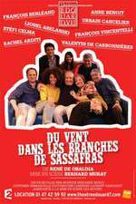 Du vent dans les branches de sassafras (théâtre) Box Art