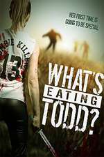 What's Eating Todd? Box Art