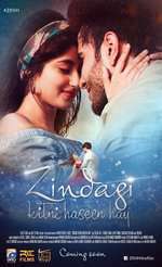 Zindagi Kitni Haseen Hay Box Art