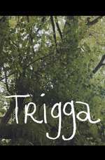 Trigga Box Art