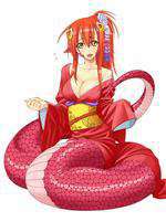 Monster Musume no Iru Nichijou OVA Box Art