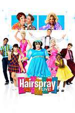 Hairspray Live! Box Art