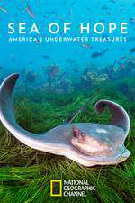 Sea of Hope: America's Underwater Treasures Box Art