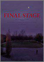 Final Stage Box Art