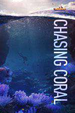 Chasing Coral Box Art