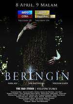 BERINGIN Box Art