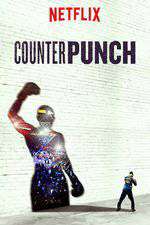 Counterpunch Box Art