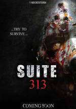 Suite 313 Box Art