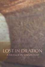 Lost in Dilation Box Art