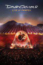 David Gilmour - Live at Pompeii Box Art