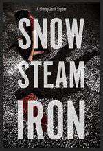 Snow Steam Iron Box Art