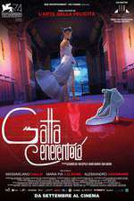 Gatta Cenerentola Box Art