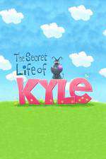 The Secret Life of Kyle Box Art