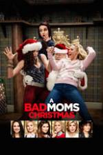 A Bad Moms Christmas Box Art