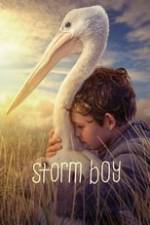 Storm Boy Box Art