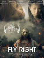 Fly Right Box Art