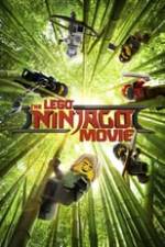 The Lego Ninjago Movie Box Art