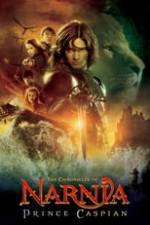 The Chronicles of Narnia: Prince Caspian Box Art