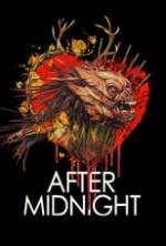 After Midnight Box Art