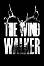 The Wind Walker Box Art