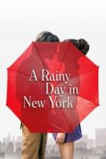 A Rainy Day in New York Box Art