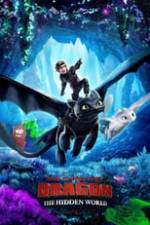 How to Train Your Dragon: The Hidden World Box Art