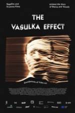 The Vasulka Effect Box Art