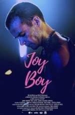 Joy Boy Box Art