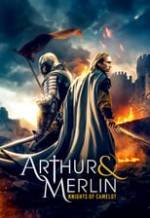 Arthur & Merlin: Knights of Camelot Box Art