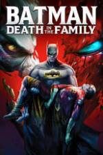 Batman: Death in the Family Box Art