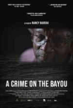 A Crime on the Bayou Box Art