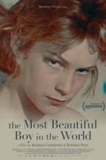 The Most Beautiful Boy in the World Box Art