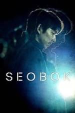 Seobok Box Art