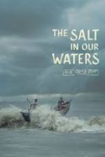 The Salt in Our Waters Box Art