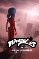 Miraculous World: New York, United HeroeZ Box Art