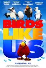 Birds Like Us Box Art