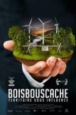 Boisbouscache Box Art