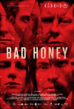 Bad Honey Box Art