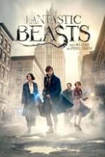 Fantastic Beasts and Where to Find Them Box Art