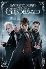 Fantastic Beasts: The Crimes of Grindelwald Box Art