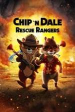 Chip 'n Dale: Rescue Rangers Box Art