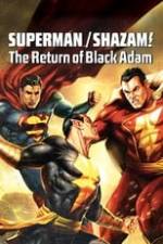 Superman/Shazam!: The Return of Black Adam Box Art