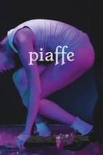 Piaffe Box Art