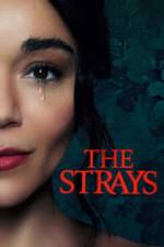 The Strays Box Art